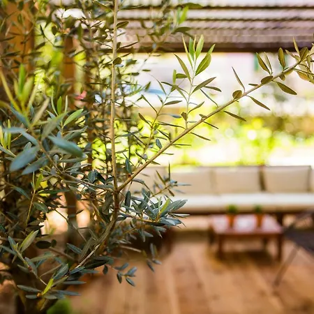 Apartamento Luxurious With Private Garden Split